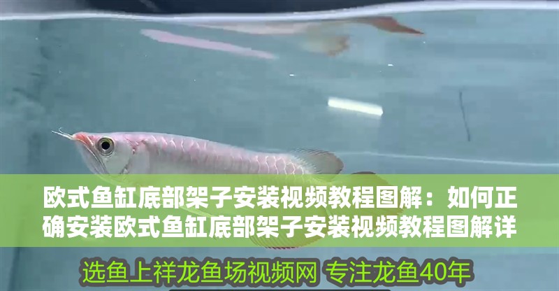 歐式魚缸底部架子安裝視頻教程圖解：如何正確安裝歐式魚缸底部架子安裝視頻教程圖解詳情
