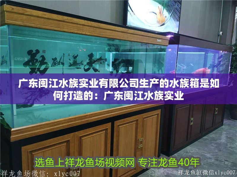 廣東閩江水族實業有限公司生產的水族箱是如何打造的：廣東閩江水族實業