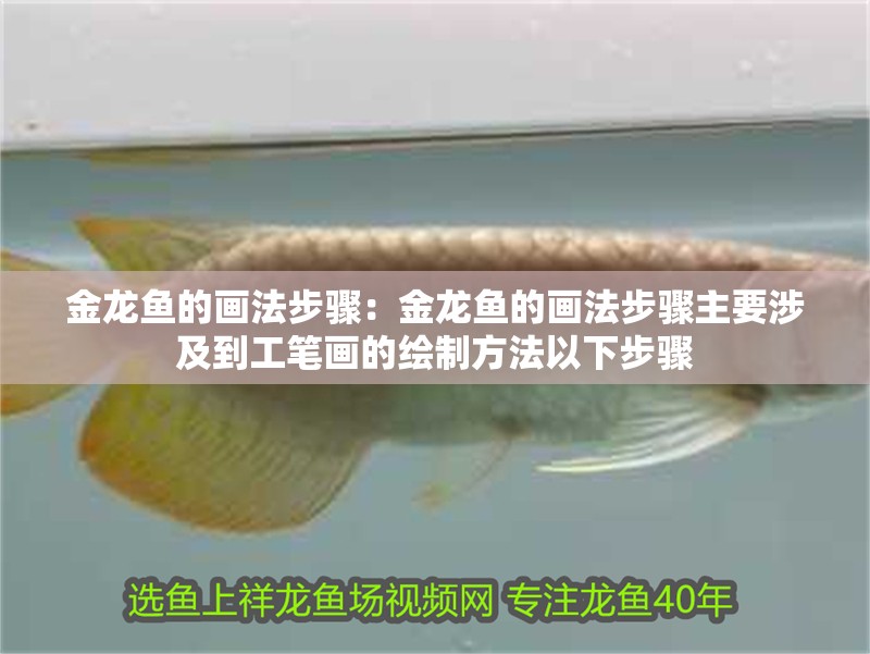 給大魚缸換水的作文:體驗給大魚缸換水的樂趣:體驗給大魚缸換水:給大魚缸換水的作文 金龍魚的畫法步驟:金龍魚的畫法步驟主要涉及到工筆畫的繪制方法以下步驟 龍魚百科 金龍魚的畫法步驟:金龍魚的畫法步驟主要涉及到工筆畫的繪制方法以下步驟 金龍魚的畫法步驟:金龍魚的畫法步驟主要涉及到工筆畫的繪制方法以下步驟 龍魚百科