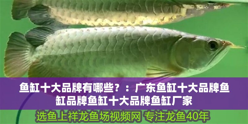 魚缸十大品牌有哪些？：廣東魚缸十大品牌魚缸品牌魚缸十大品牌魚缸廠家