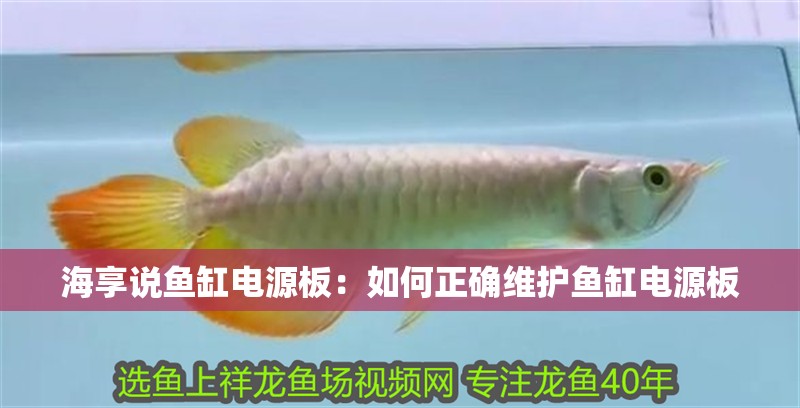 海享說魚缸電源板：如何正確維護魚缸電源板 海享說魚缸電源板：如何正確維護魚缸電源板 魚缸百科