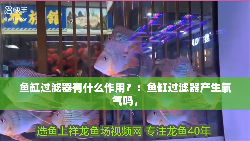 魚缸過濾器有什么作用？：魚缸過濾器產(chǎn)生氧氣嗎，