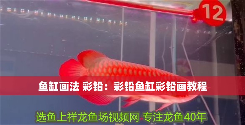 魚缸畫法 彩鉛：彩鉛魚缸彩鉛畫教程