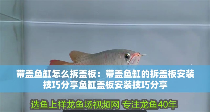帶蓋魚缸怎么拆蓋板：帶蓋魚缸的拆蓋板安裝技巧分享魚缸蓋板安裝技巧分享