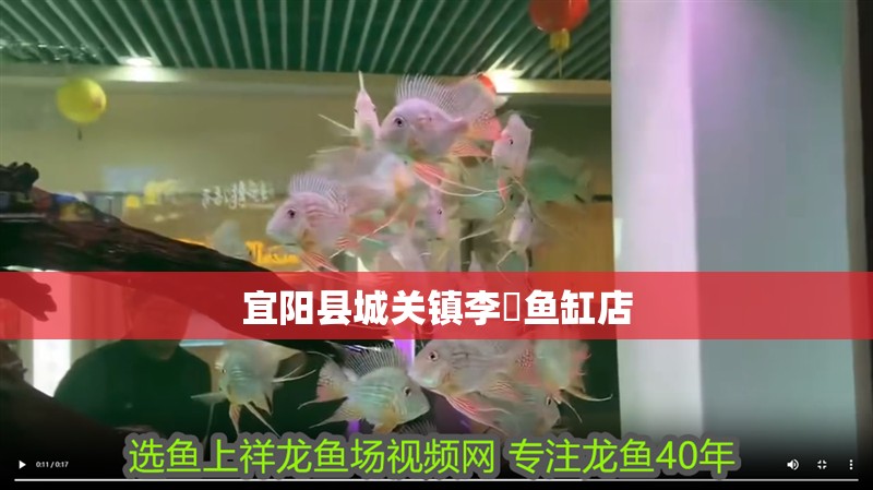 宜陽縣城關鎮李犇魚缸店 宜陽縣城關鎮李犇魚缸店 全國水族館企業名錄