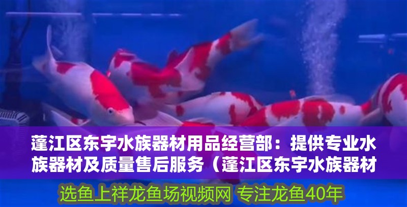 蓬江區東宇水族器材用品經營部：提供專業水族器材及質量售后服務（蓬江區東宇水族器材用品經營部：提供專業水族器材及服務地址產品質量）