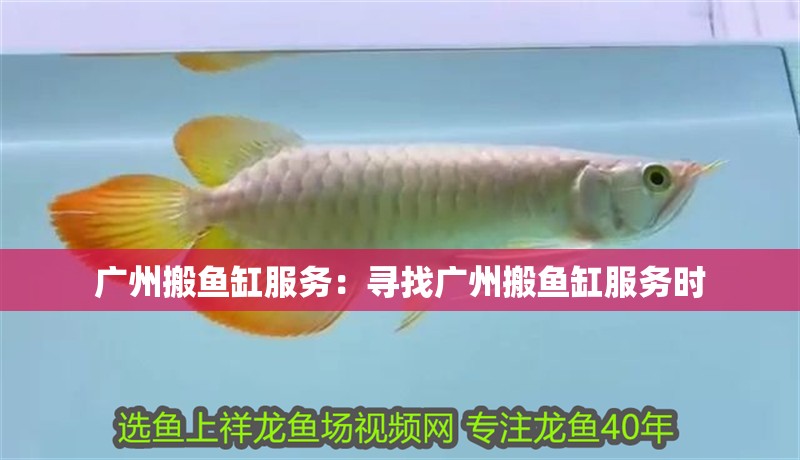 廣州搬魚缸服務：尋找廣州搬魚缸服務時