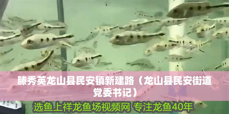 滕秀英龍山縣民安鎮新建路（龍山縣民安街道黨委書記） 滕秀英龍山縣民安鎮新建路（龍山縣民安街道黨委書記） 全國水族館企業名錄