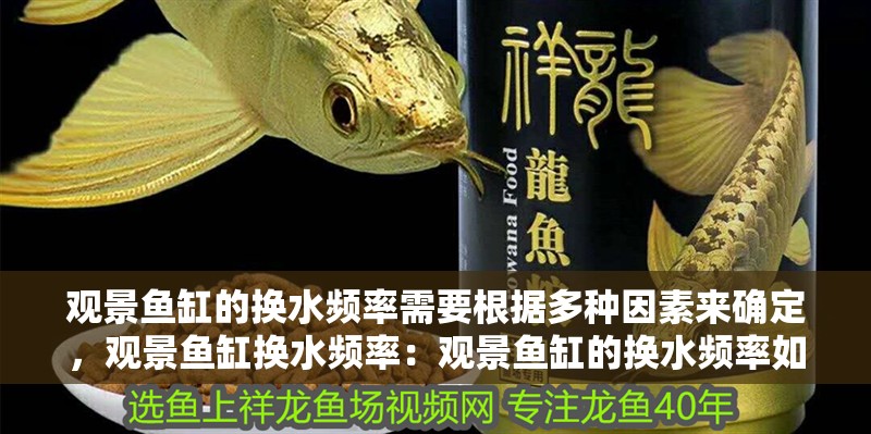 觀景魚缸的換水頻率需要根據(jù)多種因素來確定，觀景魚缸換水頻率：觀景魚缸的換水頻率如何確定