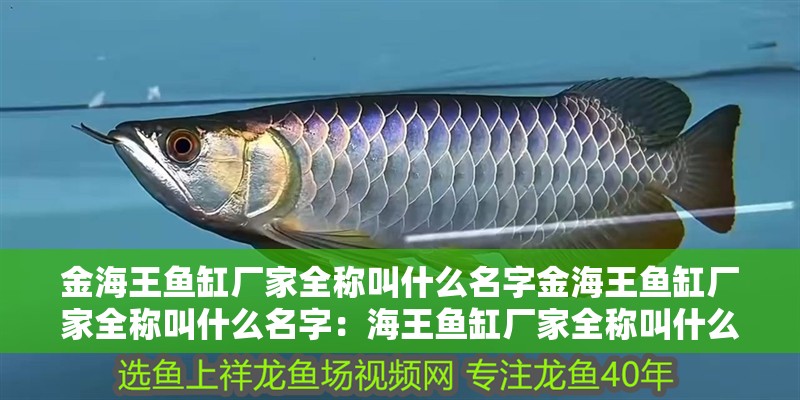 金海王魚缸廠家全稱叫什么名字金海王魚缸廠家全稱叫什么名字：海王魚缸廠家全稱叫什么名字