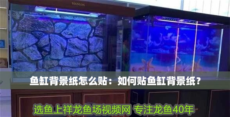 魚缸背景紙怎么貼：如何貼魚缸背景紙？