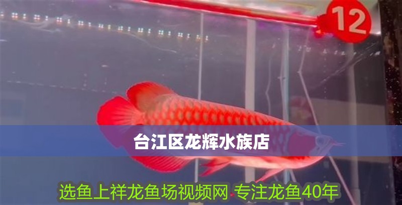 臺江區(qū)龍輝水族店