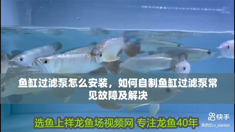 魚缸過濾泵怎么安裝，如何自制魚缸過濾泵常見故障及解決