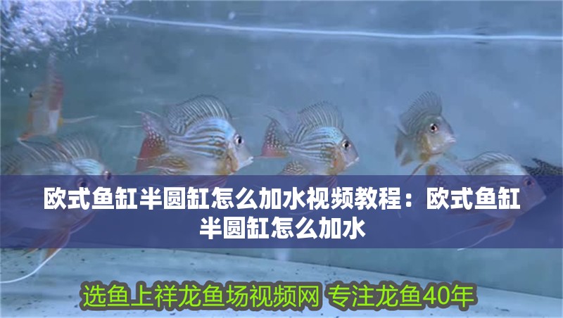 歐式魚缸半圓缸怎么加水視頻教程：歐式魚缸半圓缸怎么加水