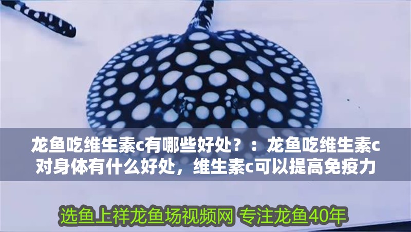 龍魚吃維生素c有哪些好處？：龍魚吃維生素c對(duì)身體有什么好處，維生素c可以提高免疫力