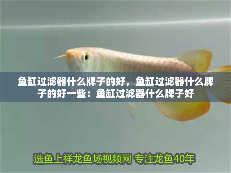 魚缸過濾器什么牌子的好，魚缸過濾器什么牌子的好一些：魚缸過濾器什么牌子好