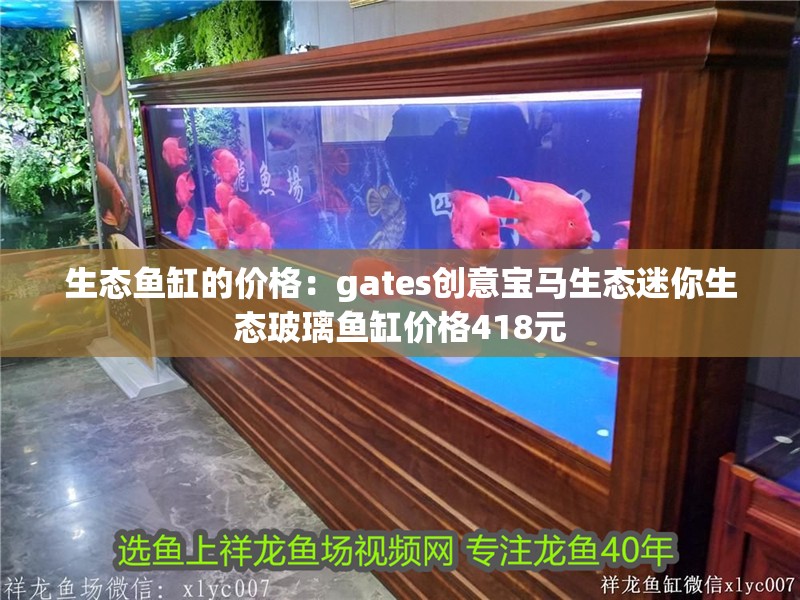 生態(tài)魚(yú)缸的價(jià)格：gates創(chuàng)意寶馬生態(tài)迷你生態(tài)玻璃魚(yú)缸價(jià)格418元