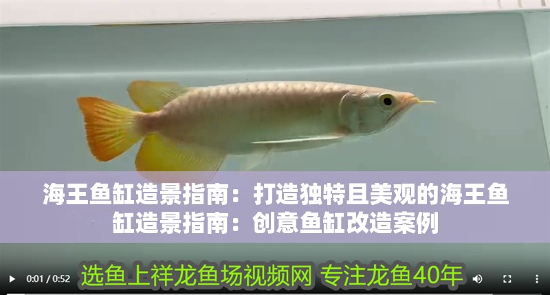 海王魚缸造景指南：打造獨特且美觀的海王魚缸造景指南：創意魚缸改造案例