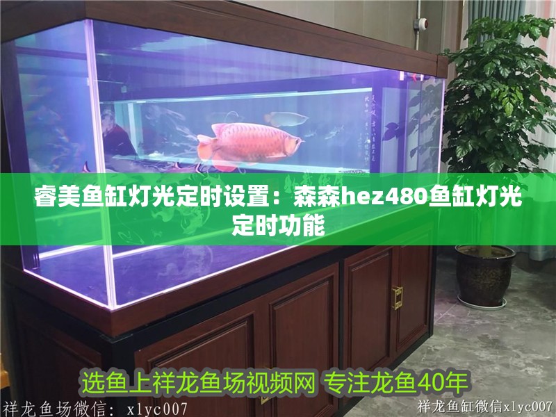 睿美魚缸燈光定時設置：森森hez480魚缸燈光定時功能