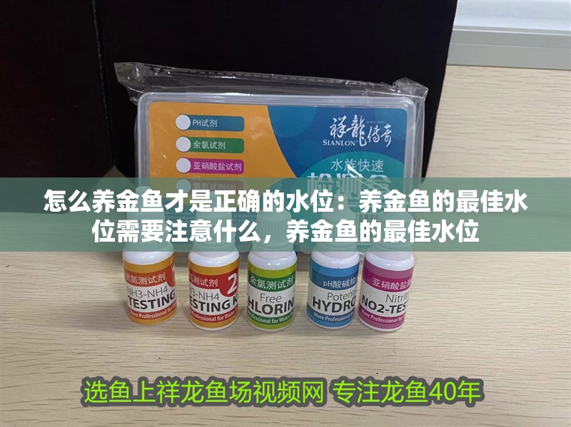 怎么養金魚才是正確的水位：養金魚的最佳水位需要注意什么，養金魚的最佳水位