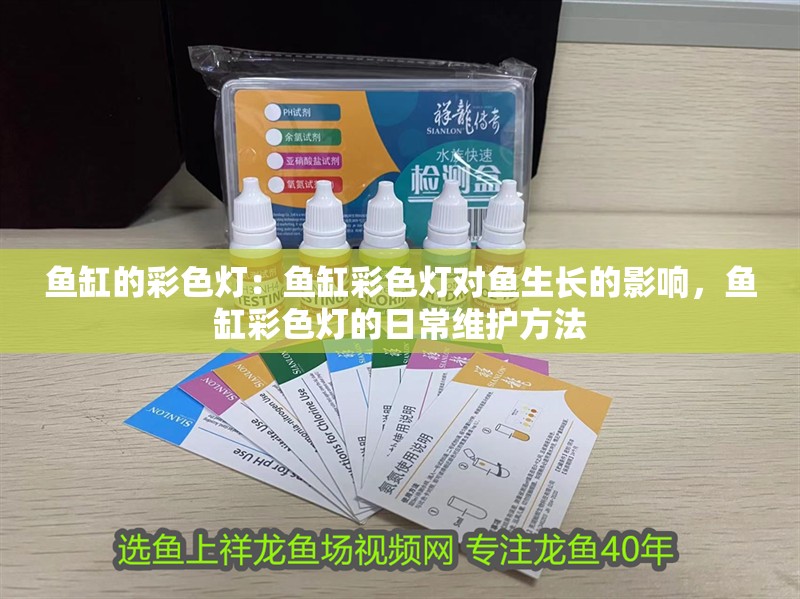 魚缸的彩色燈：魚缸彩色燈對魚生長的影響，魚缸彩色燈的日常維護方法 魚缸的彩色燈：魚缸彩色燈對魚生長的影響，魚缸彩色燈的日常維護方法 魚缸百科