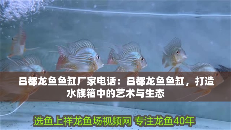 <strong><mark>昌都</mark></strong>龍魚魚缸廠家電話：<strong><mark>昌都</mark></strong>龍魚魚缸，打造水族箱中的藝術(shù)與生態(tài)