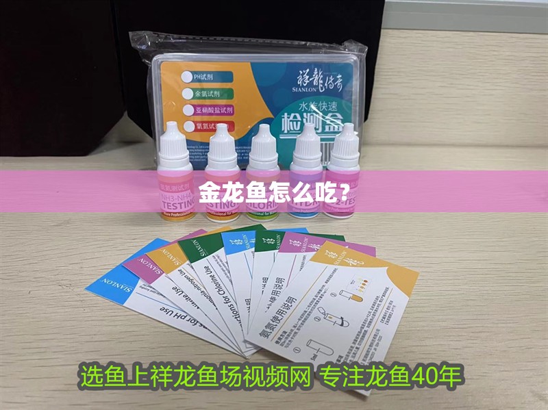 金龍魚怎么吃？