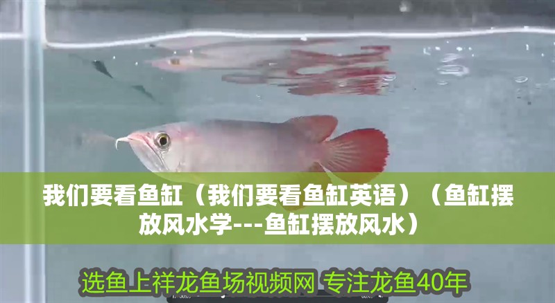 我們要看魚缸（我們要看魚缸英語）（魚缸擺放風(fēng)水學(xué)---魚缸擺放風(fēng)水）