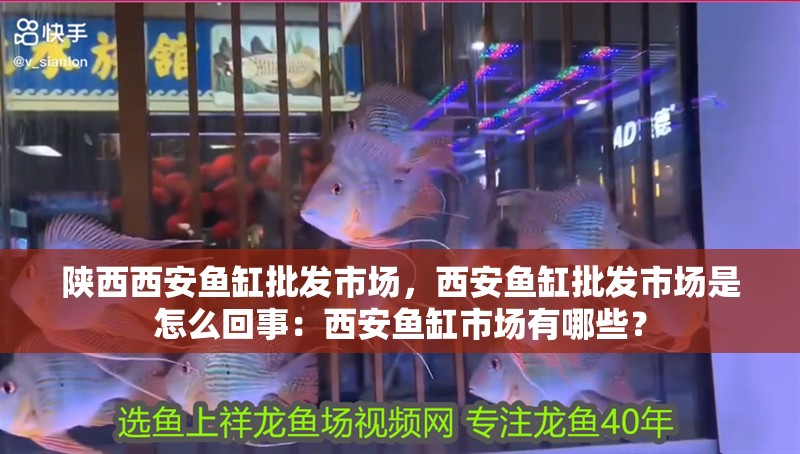 陜西西安魚缸批發(fā)市場(chǎng)，西安魚缸批發(fā)市場(chǎng)是怎么回事：西安魚缸市場(chǎng)有哪些？