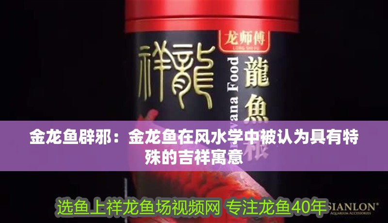 金龍魚(yú)辟邪：金龍魚(yú)在風(fēng)水學(xué)中被認(rèn)為具有特殊的吉祥寓意