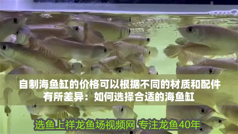 自制海魚缸的價格可以根據不同的材質和配件有所差異：如何選擇合適的海魚缸