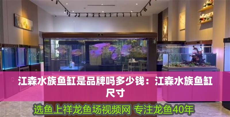 江森水族魚缸是品牌嗎多少錢：江森水族魚缸尺寸