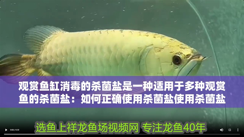 觀賞魚缸消毒的殺菌鹽是一種適用于多種觀賞魚的殺菌鹽：如何正確使用殺菌鹽使用殺菌鹽的注意事項