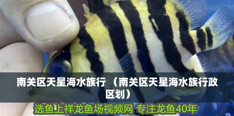 南關區天星海水族行 （南關區天星海水族行政區劃）