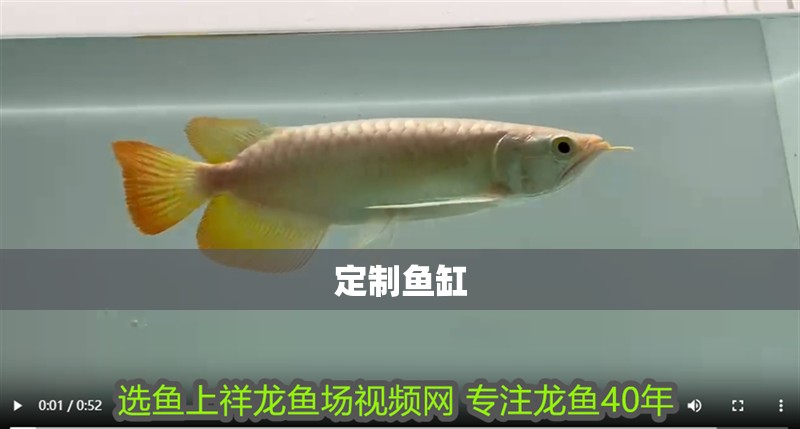 定制魚(yú)缸