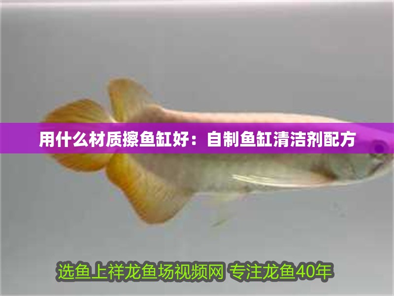 用什么材質擦魚缸好：自制魚缸清潔劑配方