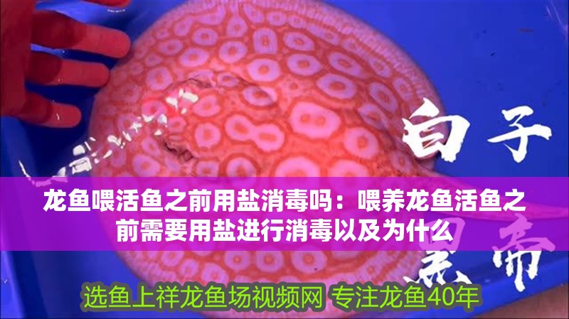 龍魚喂活魚之前用鹽消毒嗎：喂養龍魚活魚之前需要用鹽進行消毒以及為什么