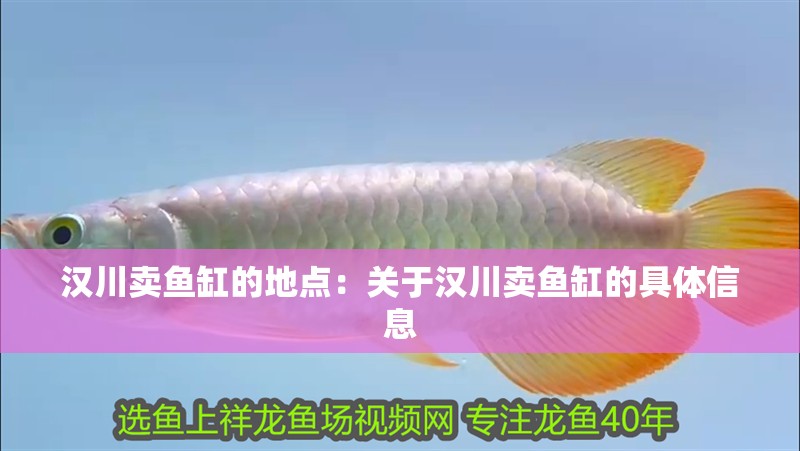 漢川賣魚缸的地點：關于漢川賣魚缸的具體信息