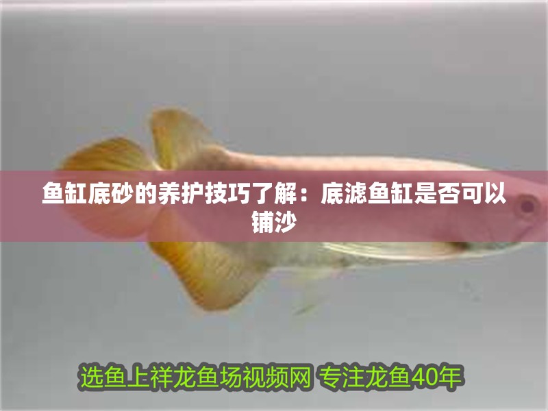 魚缸底砂的養護技巧了解：底濾魚缸是否可以鋪沙 魚缸底砂的養護技巧了解：底濾魚缸是否可以鋪沙 魚缸百科