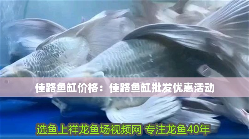 佳路魚缸價格：佳路魚缸批發優惠活動