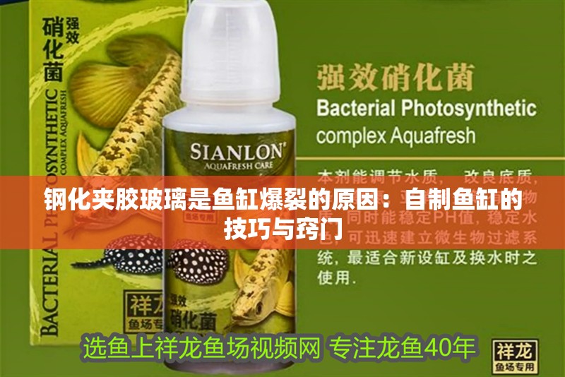 鋼化夾膠玻璃是魚缸爆裂的原因：自制魚缸的技巧與竅門