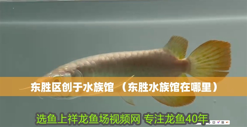 魚缸造景先放沙還是先放水(魚缸造景先鋪沙還是先放石頭) 東勝區創于水族館 (東勝水族館在哪里) 全國水族館企業名錄 東勝區創于水族館 (東勝水族館在哪里) 東勝區創于水族館 (東勝水族館在哪里) 全國水族館企業名錄
