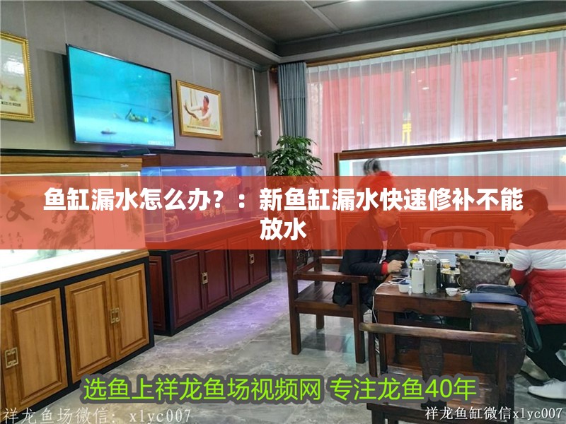 魚缸漏水怎么辦？：新魚缸漏水快速修補(bǔ)不能放水
