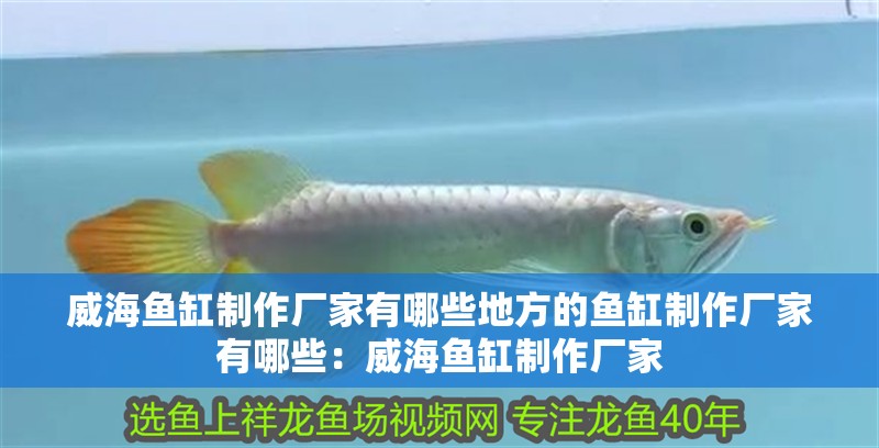 威海魚缸制作廠家有哪些地方的魚缸制作廠家有哪些：威海魚缸制作廠家