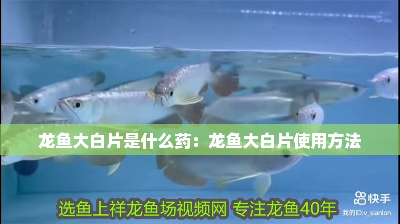 龍魚(yú)大白片是什么藥：龍魚(yú)大白片使用方法