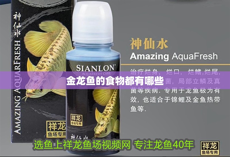 金龍魚的食物都有哪些
