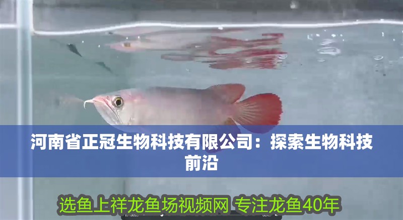 河南省正冠生物科技有限公司：探索生物科技前沿