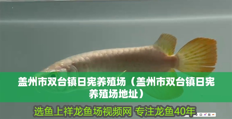 蓋州市雙臺鎮日憲養殖場（蓋州市雙臺鎮日憲養殖場地址）