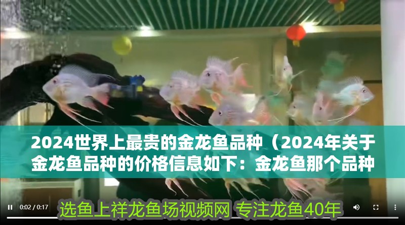 2024世界上最貴的金龍魚品種（2024年關(guān)于金龍魚品種的價格信息如下：金龍魚那個品種最值錢）