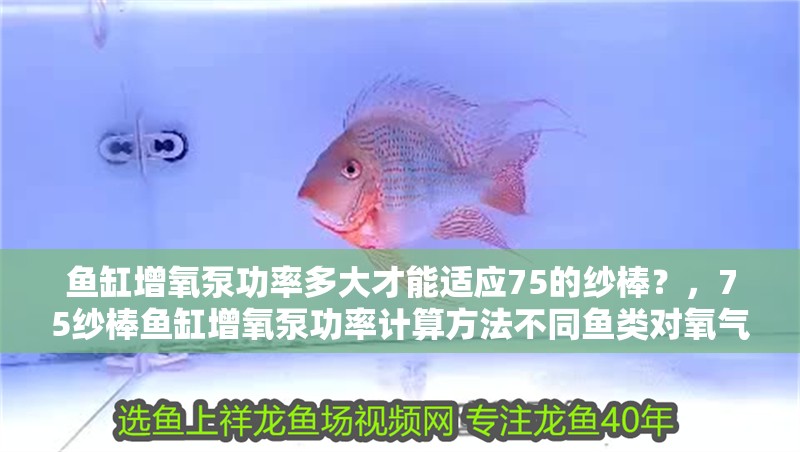 魚缸增氧泵功率多大才能適應75的紗棒？，75紗棒魚缸增氧泵功率計算方法不同魚類對氧氣需求差異 魚缸增氧泵功率多大才能適應75的紗棒？，75紗棒魚缸增氧泵功率計算方法不同魚類對氧氣需求差異 魚缸百科